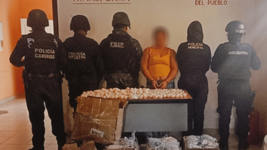 SSP aseguró más de 5 mil huevos de tortuga en Arriaga.