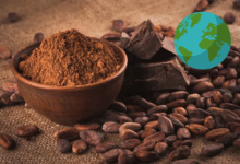 El origen del cacao y su impacto en la gastronomía mundial