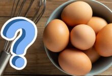 ¿Cuánto huevos se deben comer al día?; esto dice la IA