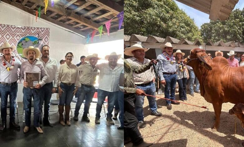 El titular de la SAGyP propuso a la alcaldesa de La Concordia hacer una aportación adicional para ampliar la entrega de sementales
