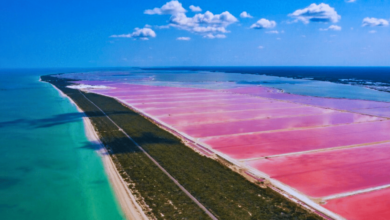 “Enamora” salinera de Las Coloradas