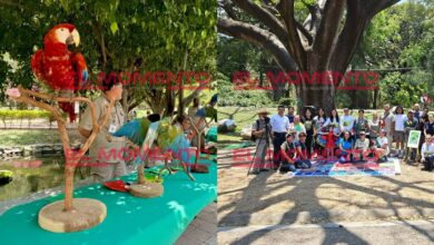 Birding en Campeche es todo un éxito