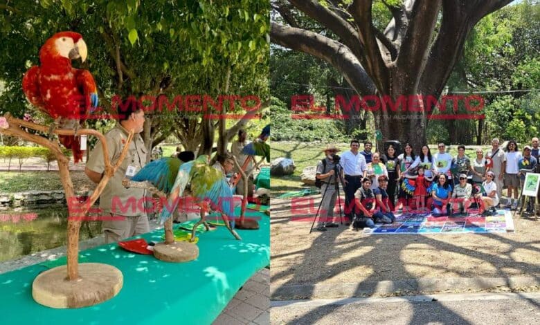 Birding en Campeche es todo un éxito