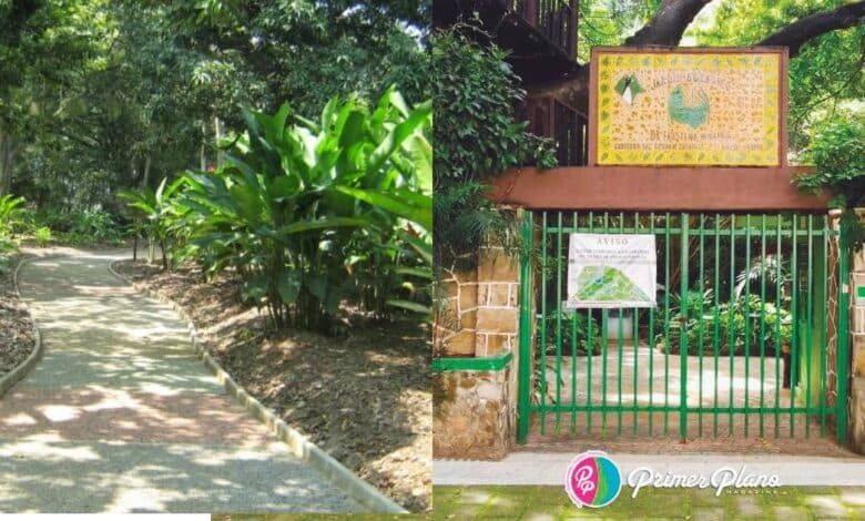 El 28 de abril se celebra el Día Internacional de los Jardines Botánicos