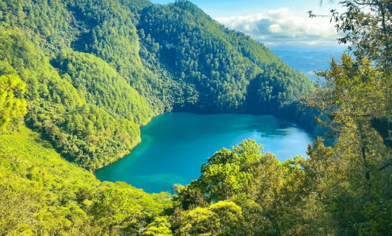 ¡Extraordinario por naturaleza!