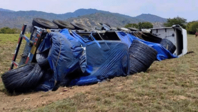 Autoridades federales evitaron rapiña en la costa de Chiapas
