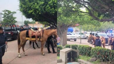 Binomios equinos fortalecen la paz en Chiapas durante jornada de proximidad social
