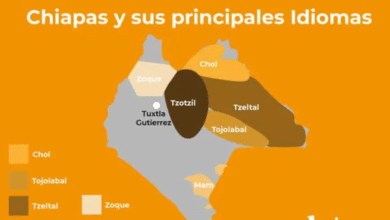 Chiapas, uno de los estados con mayor diversidad lingüística