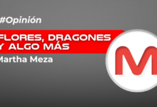 Flores, dragones y algo más…