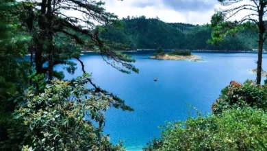Lago Pojoj y su peculiar isla de orquídeas, en Chiapas