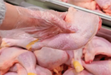 Protección sanitaria México suspende importaciones de pollo desde Brasil