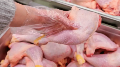Protección sanitaria México suspende importaciones de pollo desde Brasil