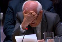 Embajador de Palestina rompe en llanto en Consejo de Seguridad. (Foto de internet)