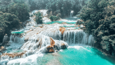 Cascadas de Agua Azul_ El tesoro turquesa de Chiapas que debes conocer