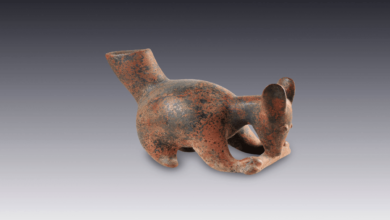 Coatíes de barro_ el arte que da vida a la fauna mexicana