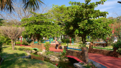 Desmantelan atracciones del parque Joyyo Mayu pese a multimillonaria inversión