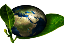 Día Mundial del Medio Ambiente 2025; por qué se celebra el 5 de junio