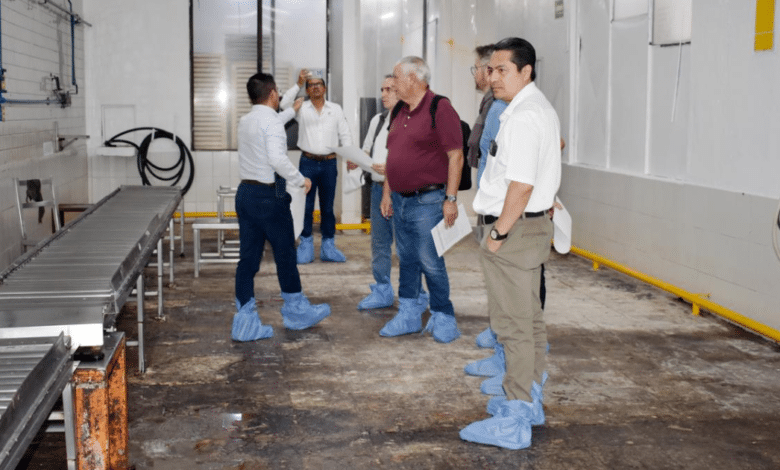 Inversión millonaria para combatir al gusano barrenador