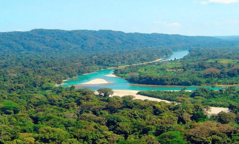 La Selva Lacandona tesoro ecológico de Chiapas que resguarda biodiversidad única