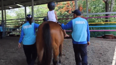 SSP,Equinoterapia,Chiapas,Terapia con caballos