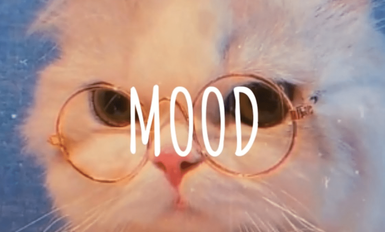 “Mood” el término con el que los chavos narran su vida emocional en TikTok (Foto por Dusk Music ASIA)