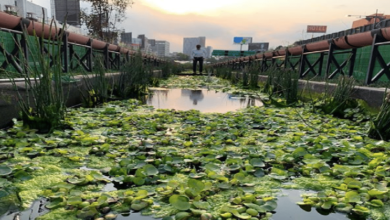 Río de la Piedad_ un oasis oculto entre los cañones de Michoacán