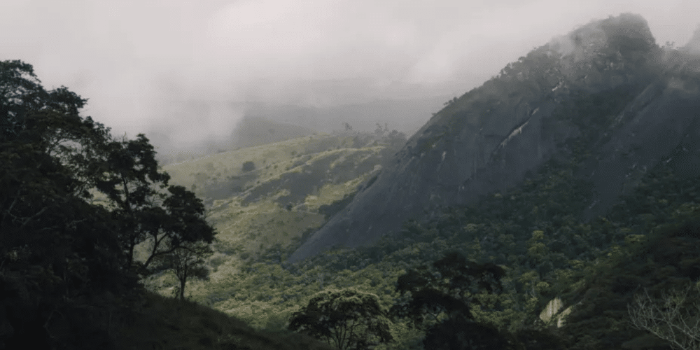 Se mantiene activo el Sistema de Alerta Temprana por lluvias en Chiapas