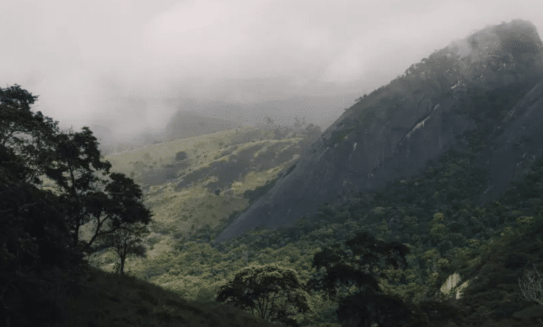 Se mantiene activo el Sistema de Alerta Temprana por lluvias en Chiapas