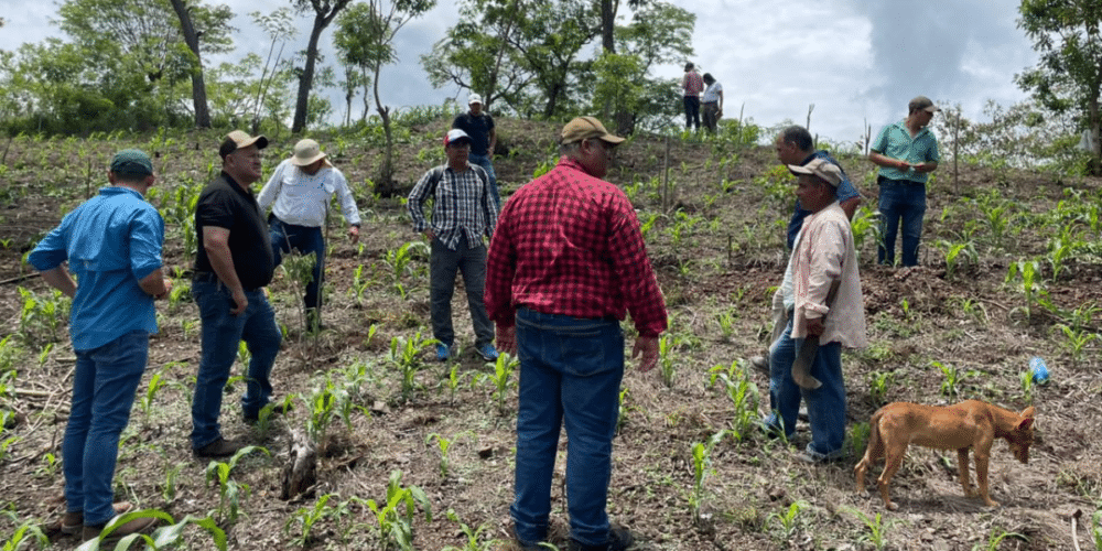 Académicos de la UNACH participan en proyecto internacional vinculado con la agroecología