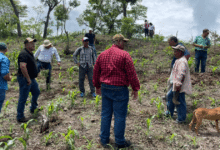 Académicos de la UNACH participan en proyecto internacional vinculado con la agroecología