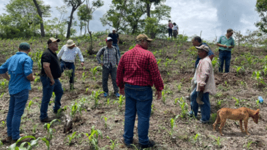 Académicos de la UNACH participan en proyecto internacional vinculado con la agroecología