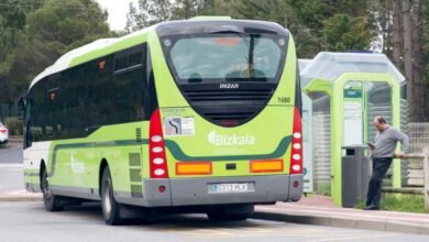 Acusan maltrato animal, suben a burra a un camión