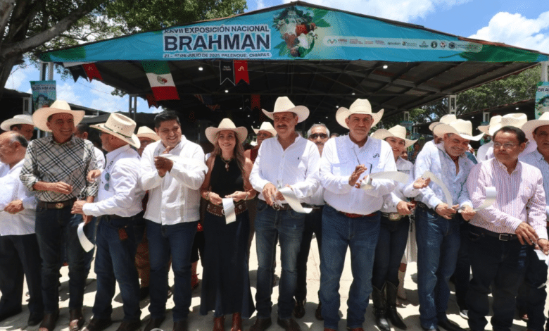 En Palenque, Chiapas se llevó a cabo la exposición nacional 2025, un escenario para lo mejor del sector ganadero de Chiapas, en este espacio se expuso lo mejor de los Brahman.