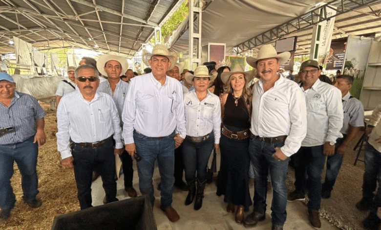 Palenque es sede de la exposición nacional ganadera, más de 20 ganaderías de la región selva de Chiapas forman parte de lo mejor del ganado nacional e internacional.