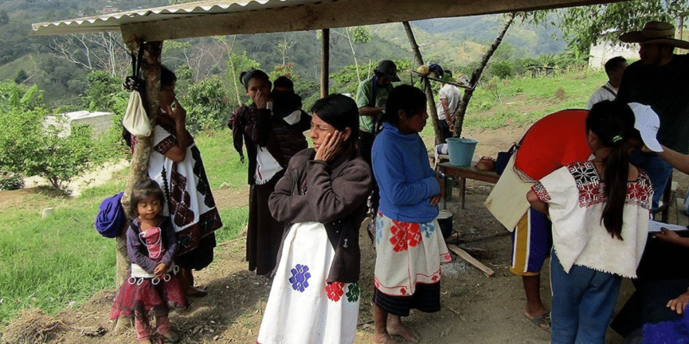 Enfrentamientos armados y ataques dirigidos obligaron a miles de personas a abandonar sus hogares; Chiapas y Sinaloa concentran más del 75% del desplazamiento interno