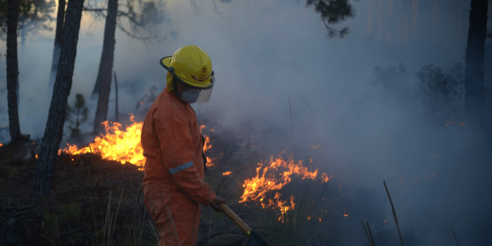 Histórica baja en incendios forestales en Chiapas en 2025, disminuyen un 87 % las hectáreas afectadas