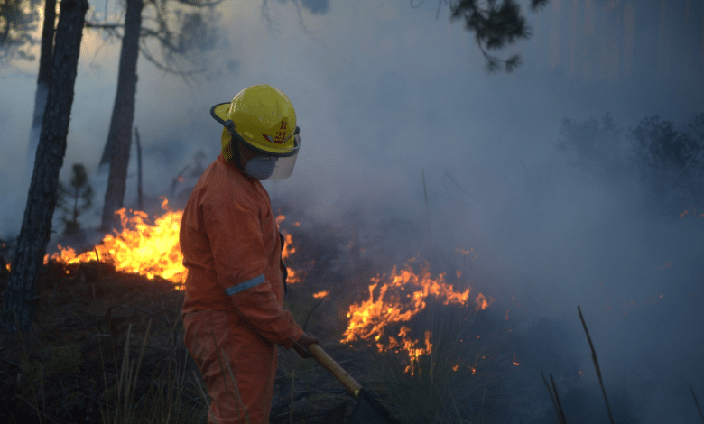 Histórica baja en incendios forestales en Chiapas en 2025, disminuyen un 87 % las hectáreas afectadas