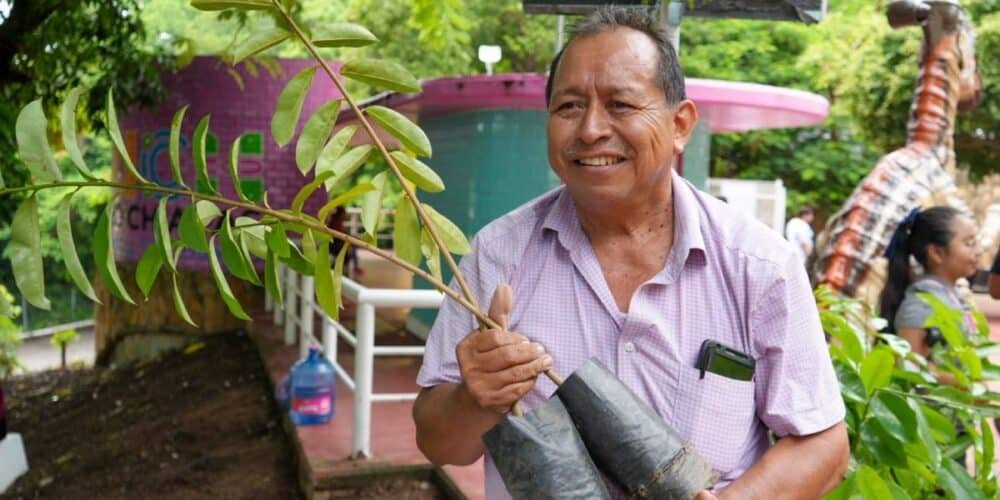 Jornada de reforestación en Tuxtla Gutiérrez fue un éxito
