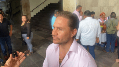 Más de 100 mil moscas estériles para atender el problema del gusano barrenador.