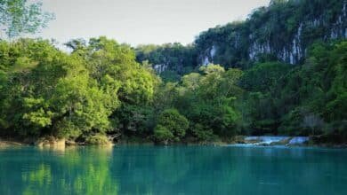 Montes Azules el corazón vivo de la Selva Lacandona