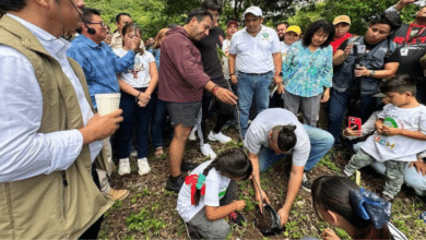 Reforestaron el Museo Chiapas