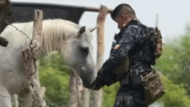 SSP a través del Voluntariado “Aliadas por la Paz y la Seguridad del Pueblo”, visita el Centro de Equinoterapia de la Guardia Estatal Preventiva.