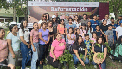 SSP participa en la “Reforestación con Jóvenes” que se realizó en San Cristóbal de Las Casas y Tuxtla Gutiérrez