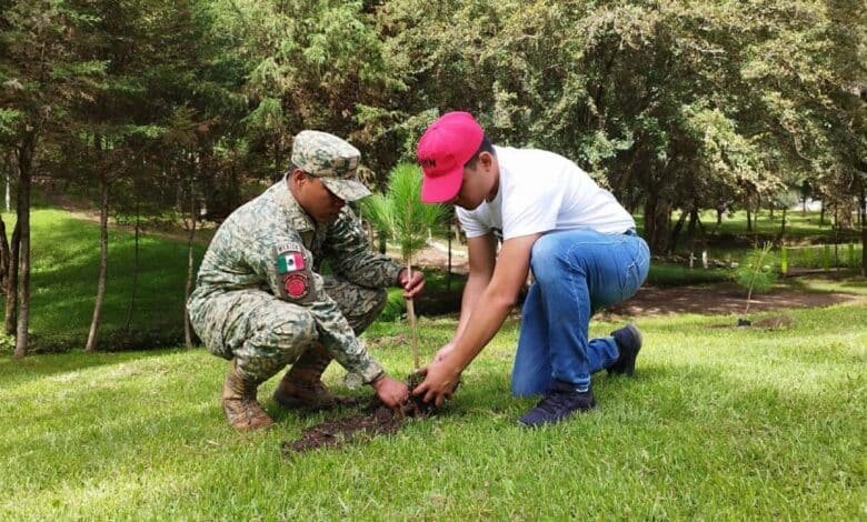 Servicio Militar reforestación en Chiapas