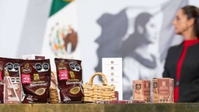 Cacao del sureste, materia prima del Chocolate Bienestar