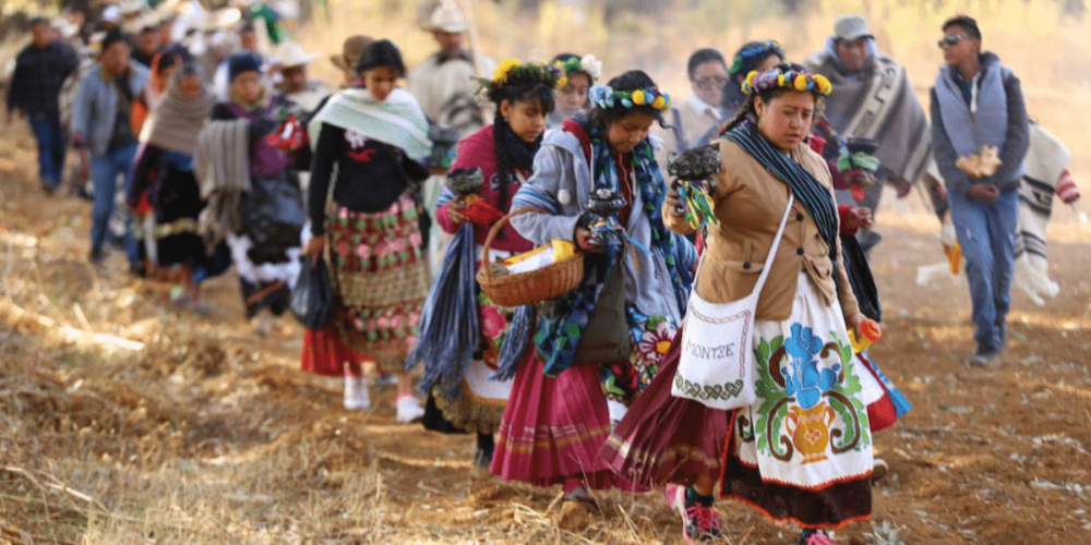 Se estima necesario exhortar al máximo tribunal del país a sentar un precedente fundamental para garantizar el bienestar de los pueblos y comunidades indígenas de México