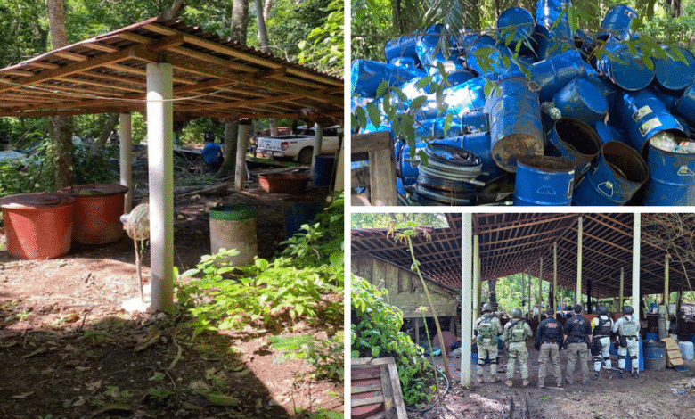 Aseguran segundo laboratorio de sustancias en Palenque, Chiapas