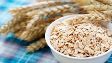 Avena Beneficios e importancia de este cereal