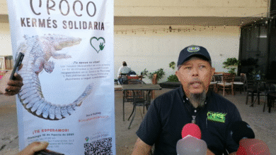 Ayuda al medio ambiente, de manera divertida y en conexión con la naturaleza