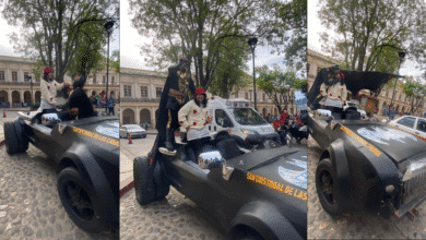 Batman Chiapaneco enamorado